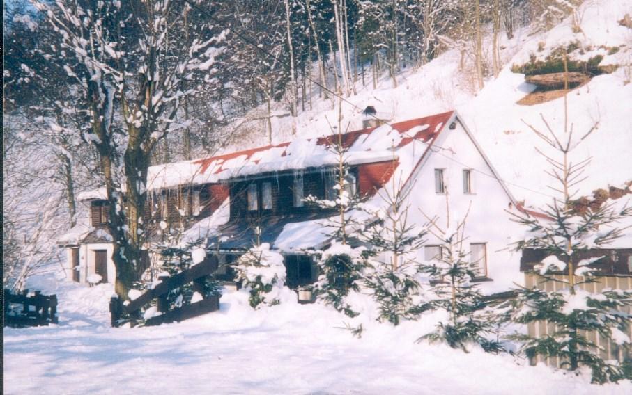 Holiday Home Ve Vlcicich Vlcice Exterior photo